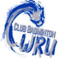 cwru badminton logo